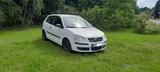 Volkswagen Polo 1.4TDI 51kW Trendline Trendline - Volkswagen Polo aus 2005 mit Diesel-Antrieb
