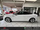 Audi S5 Cabrio 3.0 TFSI quattr LED*ACC*AHK*Kamera*20" - Audi S5 mit 3 Türen