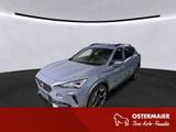 Cupra Formentor 1.5TSI 150PS DSG LED.AHK.KAMERA.APP-C.