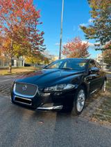 Jaguar XF 2.2 L Diesel  - gebrauchte Jaguar XF aus dem Jahr 2012