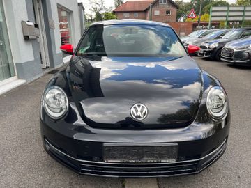 Volkswagen Beetle - 2