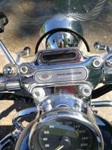Harley-Davidson Sportster 883 XL 2003 Custom - Angebote