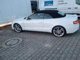 Audi A5 3.0 TDI 180kW S tr. quat. Cabriolet - - Audi A5 mit Diesel-Antrieb: Cabrio, Automatik