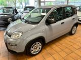 Fiat Panda 1.0 GSE Hybrid Base - Fiat Panda Gebrauchtwagen in Bremen