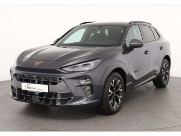 Cupra Terramar - 2