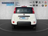 Fiat Panda 1.0 Mild Hybrid MY24 PDC TEMPOMAT SPURHALT - Fiat Panda: Weiß