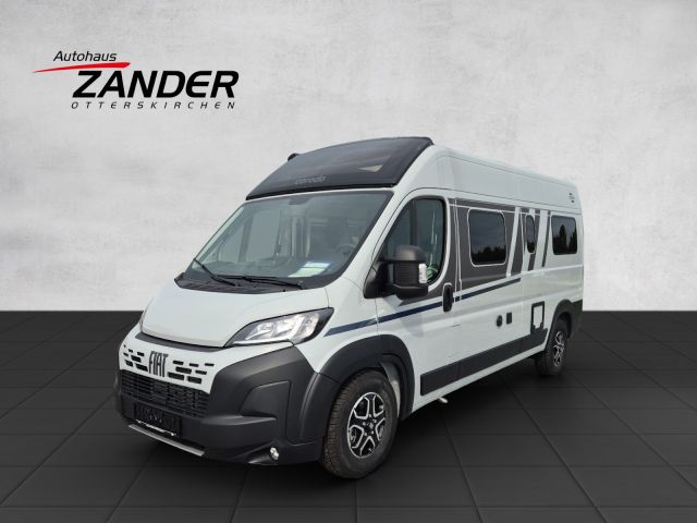 Carado CV 600 PRO+ Markise Modelljahr 2025 Klima