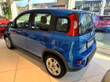 Fiat Panda Base / Klima, Radio, elektr. FH vorn, Blue - Fiat Panda in Chemnitz