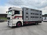 MAN TGX - Angebote