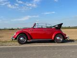 Volkswagen Käfer Cabrio - Bj. 1964 - Volkswagen Käfer: Rot