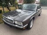 Jaguar XJ 40 Automatik Oldtimer - Jaguar XJ40 von privat