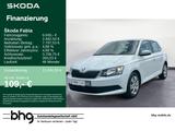 Skoda Fabia 1.0 TSI - Skoda Fabia: Limousine