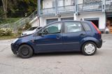 Ford Fiesta Viva X 1.4 - Ford Fiesta: Viva X