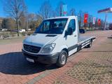 Mercedes-Benz Sprinter 313 CDI*Autotransporter*AHK 2,0t* - gebrauchte Mercedes-Benz Sprinter aus dem Jahr 2010