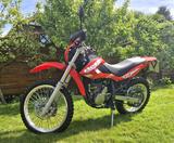 Beta Alp 4.0, EZ 12/2016, 3566 km, 1. Hand - BETA ALP