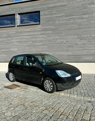 Ford Fiesta 1,3 L Benziner