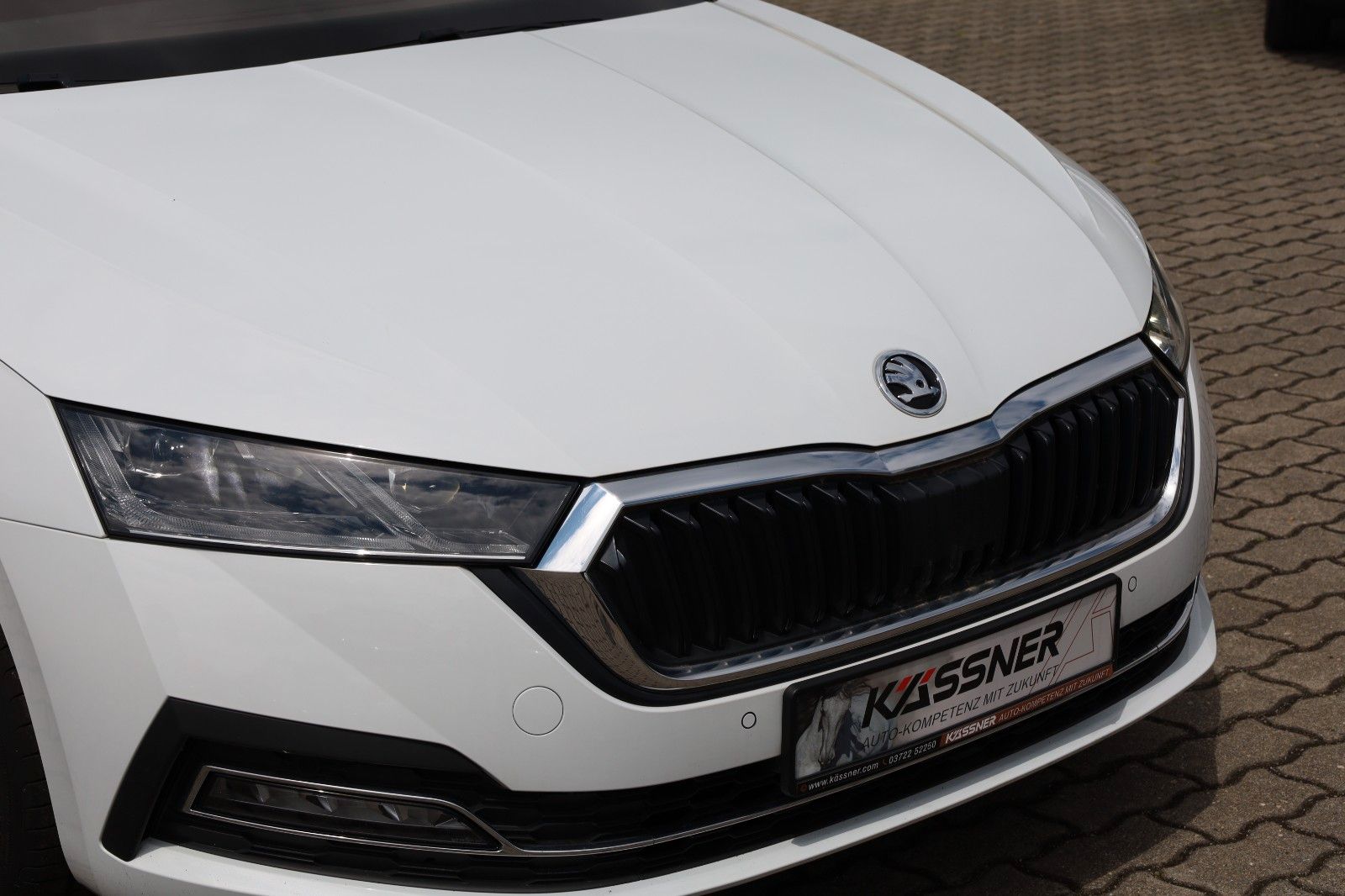 Fahrzeugabbildung SKODA Octavia Combi Style *AHZV Schwenkb. *beheiz.WSS