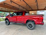 Ford Shelby - Ford F 150: Shelby