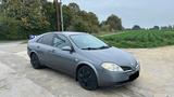 Nissan Auto tauschen Nissan Primera Diesel polnis... - Nissan Primera mit Diesel-Antrieb