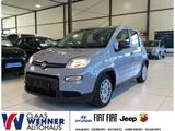 Fiat Panda Base *Bluetooth *Klimaanlage - Fiat Panda Gebrauchtwagen in Hamburg