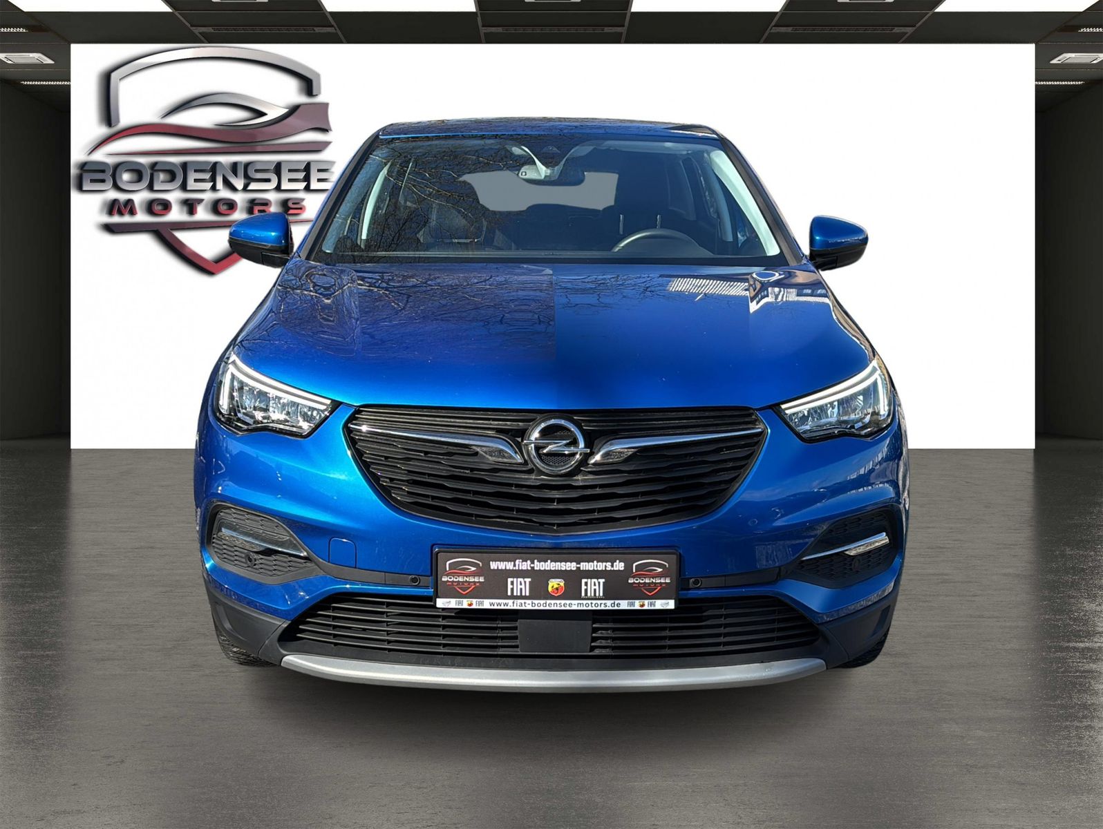 Fahrzeugabbildung Opel Grandland Elegance