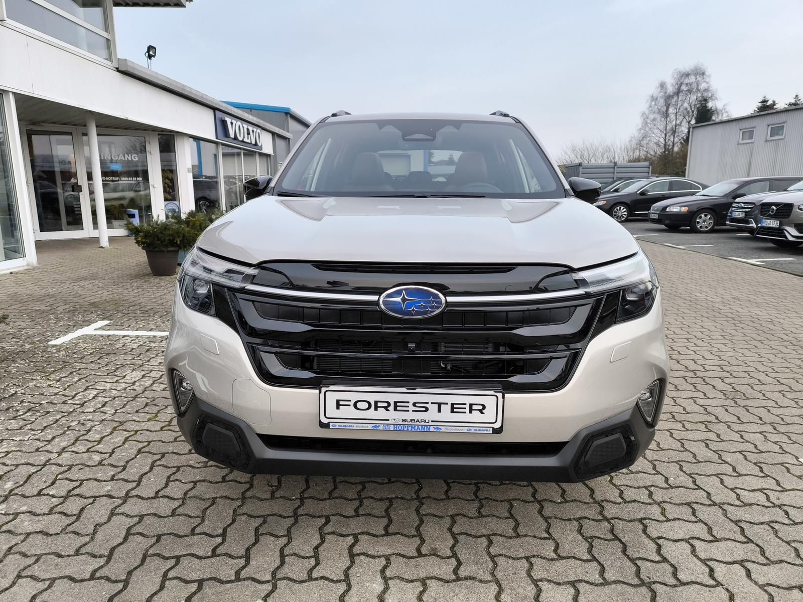 Subaru Forester - Bild 7