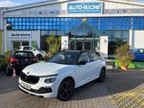 Skoda Kamiq 1.5 TSI Monte Carlo ACC/BLIND/CAM/MATRIX - Skoda Kamiq Tageszulassungen