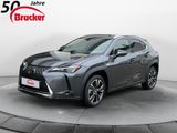 Lexus UX 250h Style Edition CarPlay LED Safety - Lexus UX aus 2023