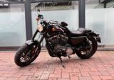 Harley-Davidson XL1200 Roadster - Angebote