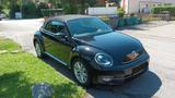 Volkswagen Beetle 1.4 TSI DSG Design Cabriolet Design - VW Beetle von privat