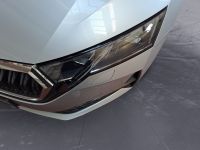 Skoda Octavia - Vorschau Bild 13