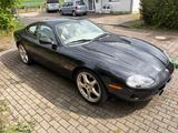 Jaguar XK - Jaguar XK: Coupe
