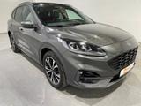 Ford Kuga 2.0 EcoBlue ST-Line X 4x4 Automatik EU6d Le - Ford Kuga mit Anhängerkupplung