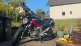 Suzuki SVF 650 Gladius, TÜV 07/2028, ABS, Anfänger A2 - SUZUKI GLADIUS 650