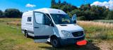 Mercedes-Benz Mercedes Sprinter Daimler 313 CDI - Mercedes-Benz Sprinter aus 2008: 313