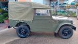 Fiat Campagnola Trasformabile - Fiat aus 1981