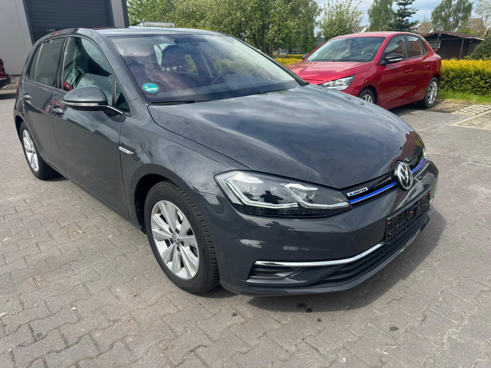 Volkswagen Golf 1,5 BlueMotTechn ACC MFL PDC Navi Klima TOP
