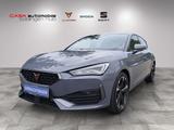 Cupra Leon 2.0 TSI DSG Navi SHZ Kamera SHZ PDC - Cupra Leon in Stuttgart