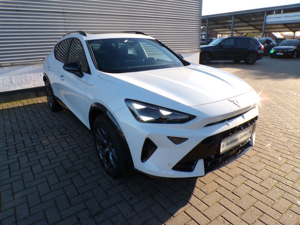 Fahrzeugabbildung CUPRA Formentor 2.0 TSI DSG 4Drive