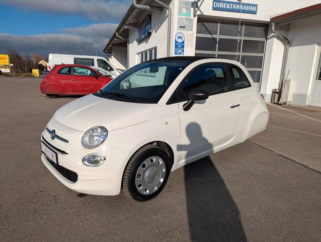 Fiat 500 Cabrio Ellenator MJ24  Sofort verfügbar