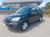 Honda CR-V 2.0 AWD Comfort 50 Jahre Edition KLIMA AHZV - Honda CR-V: 2.0