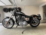 Harley-Davidson Sportster 883C / 100th Anniversary  - HARLEY-DAVIDSON 2003 100TH ANNIVERSARY