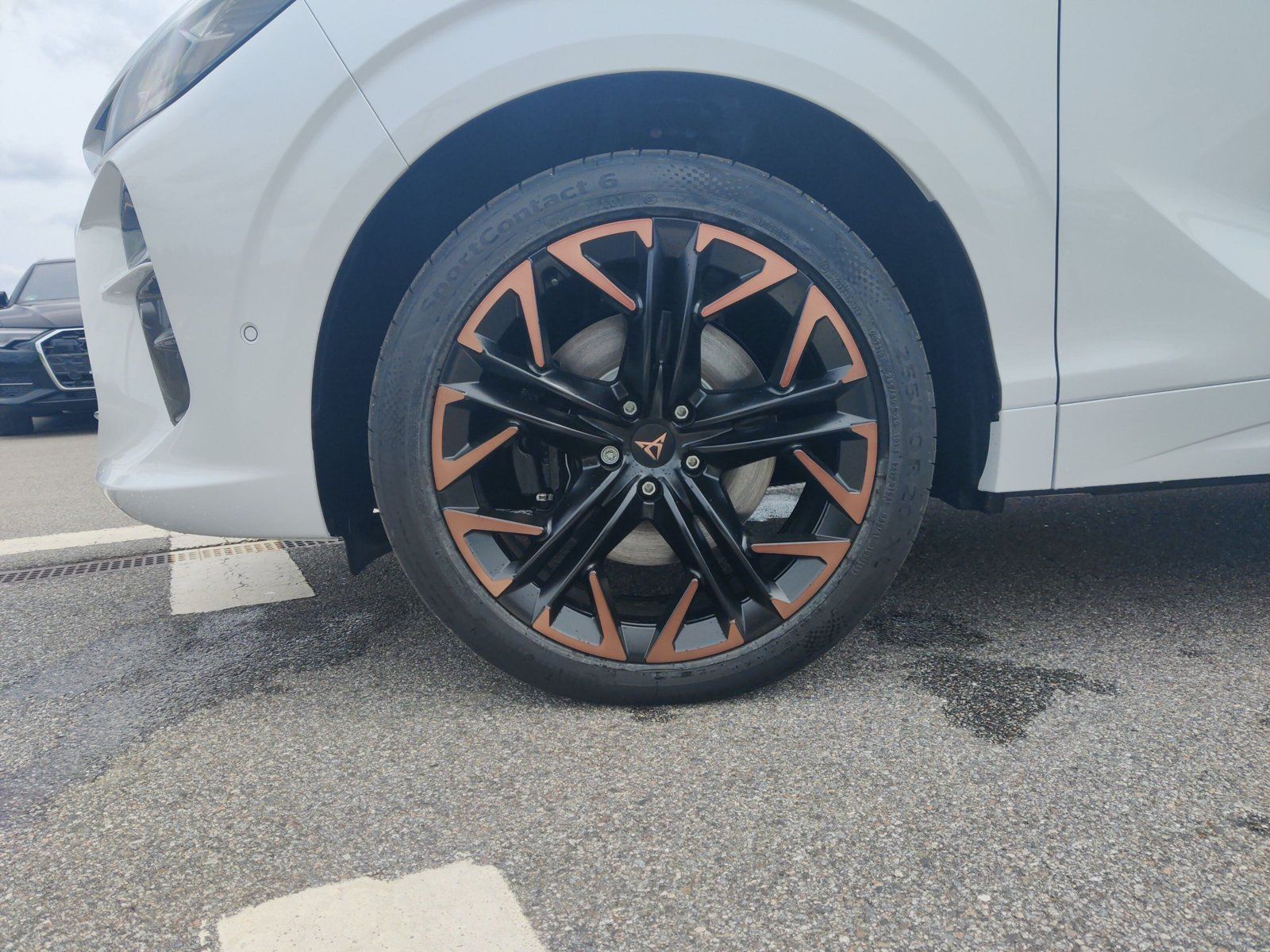 Cupra Terramar - Bild 9
