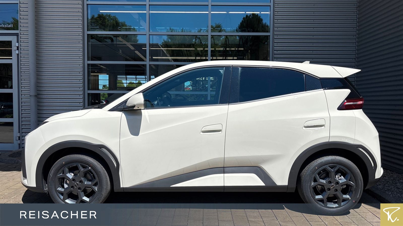 BYD DOLPHIN SURF
