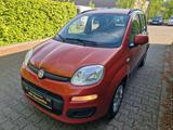 Fiat Panda Lounge - Fiat Panda Gebrauchtwagen in Bielefeld