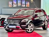 Mercedes-Benz ML 350CDI AMG Paket BiXenon ILS Comand Airmatic - Mercedes-Benz ML 350: AMG