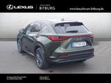 Lexus NX 450 Executive *Interieur-Paket*HUD* /FLA/LM/ - Lexus: Nx