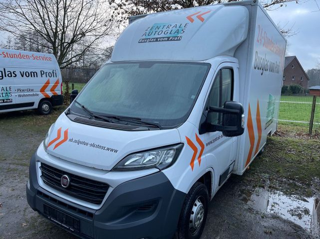 Fiat Ducato Kofferaufbau