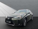 Lexus UX 300h*F-Sport-D.*15J-GARANTIE *TOTW.*INDUKT.* - Lexus UX Neuwagen
