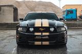 Ford Mustang 5.0 GT V8 Schalter/Premium/R19/Kamera - Ford Gebrauchtwagen in Aalen